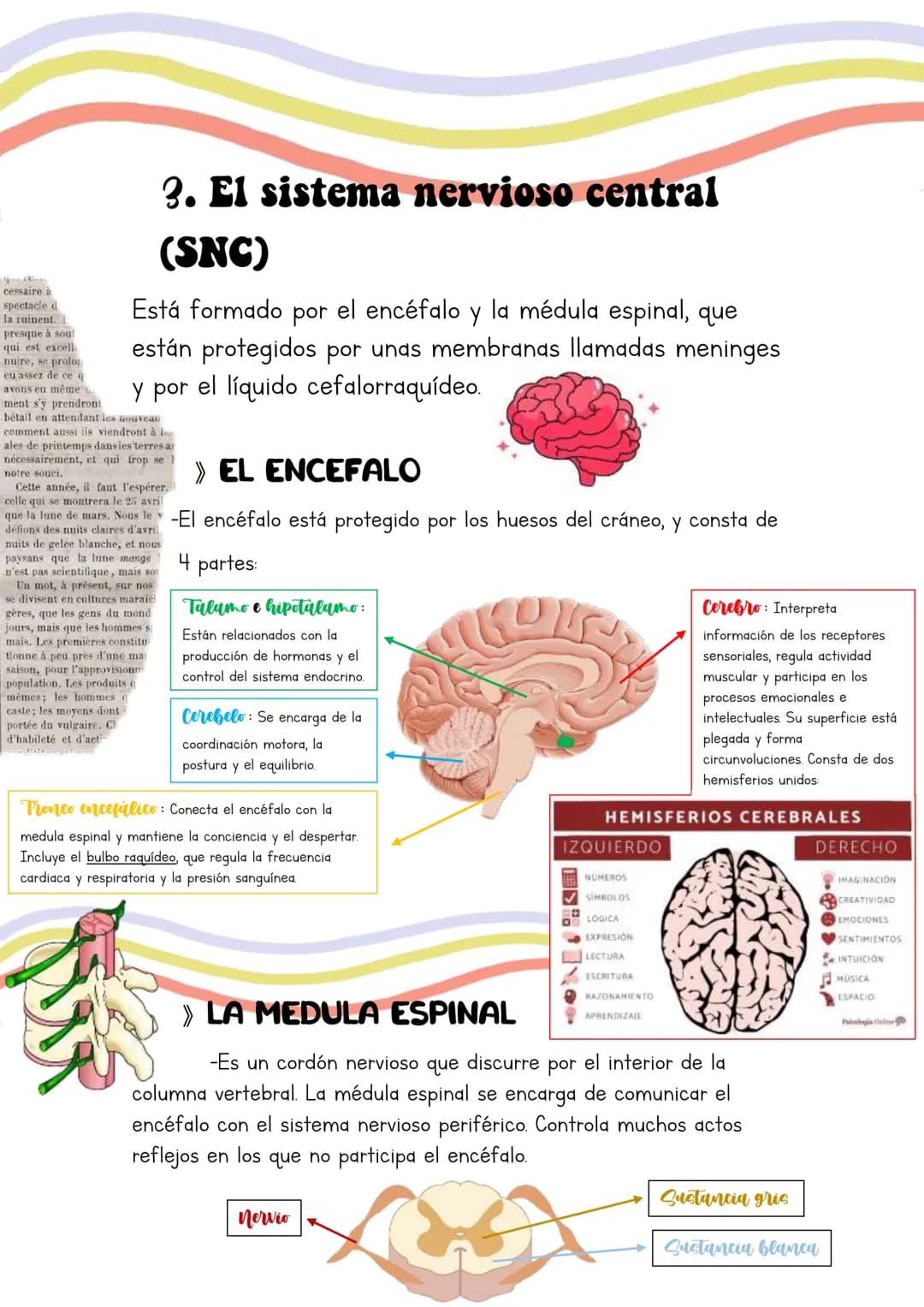 Biología
Lucia Esteban
[Si pinchas en los
anteriores títulos te
lleva a dicho apartado a
través de un marcador]
INDICE
1. Los sistemas de co