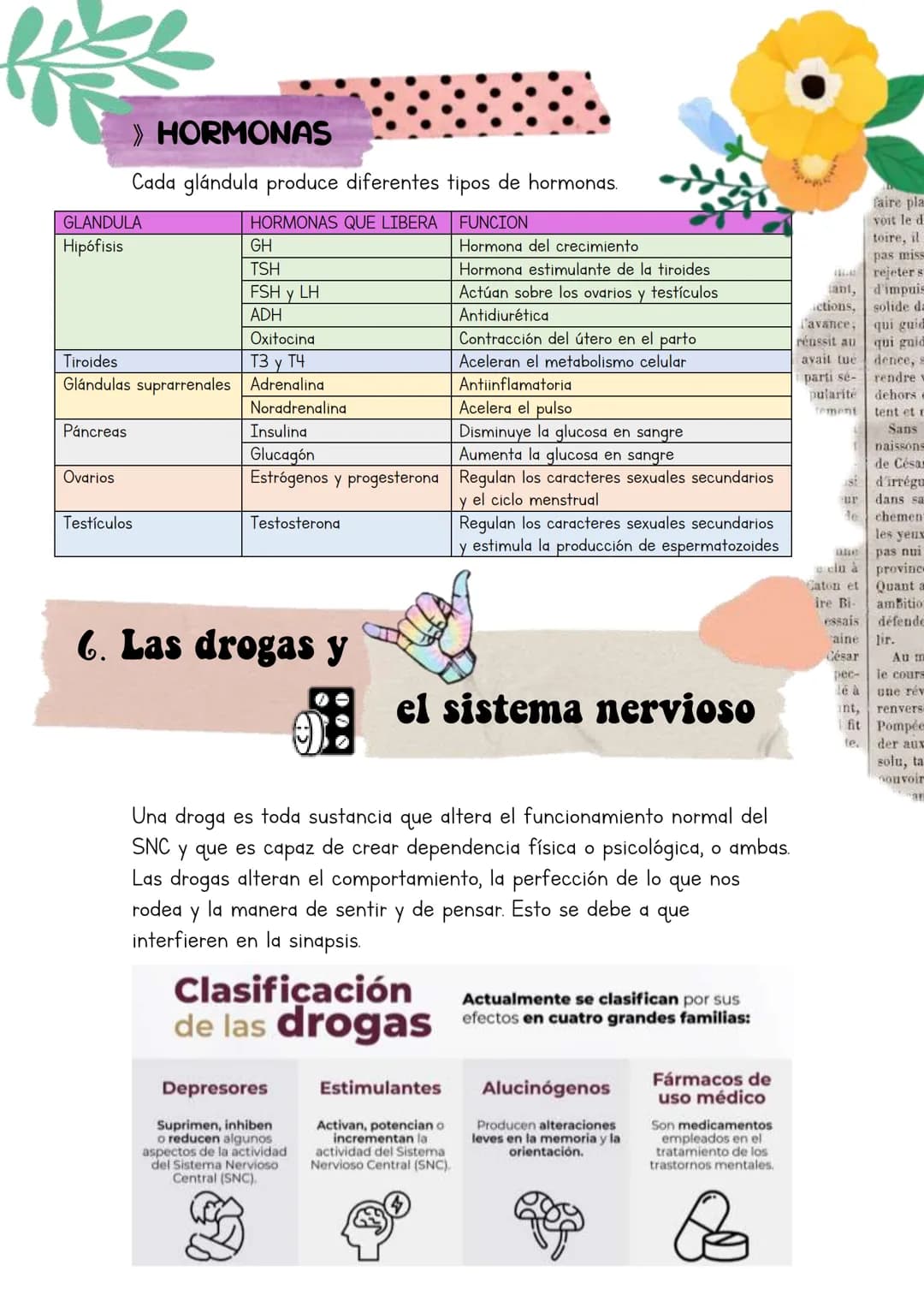 Biología
Lucia Esteban
[Si pinchas en los
anteriores títulos te
lleva a dicho apartado a
través de un marcador]
INDICE
1. Los sistemas de co