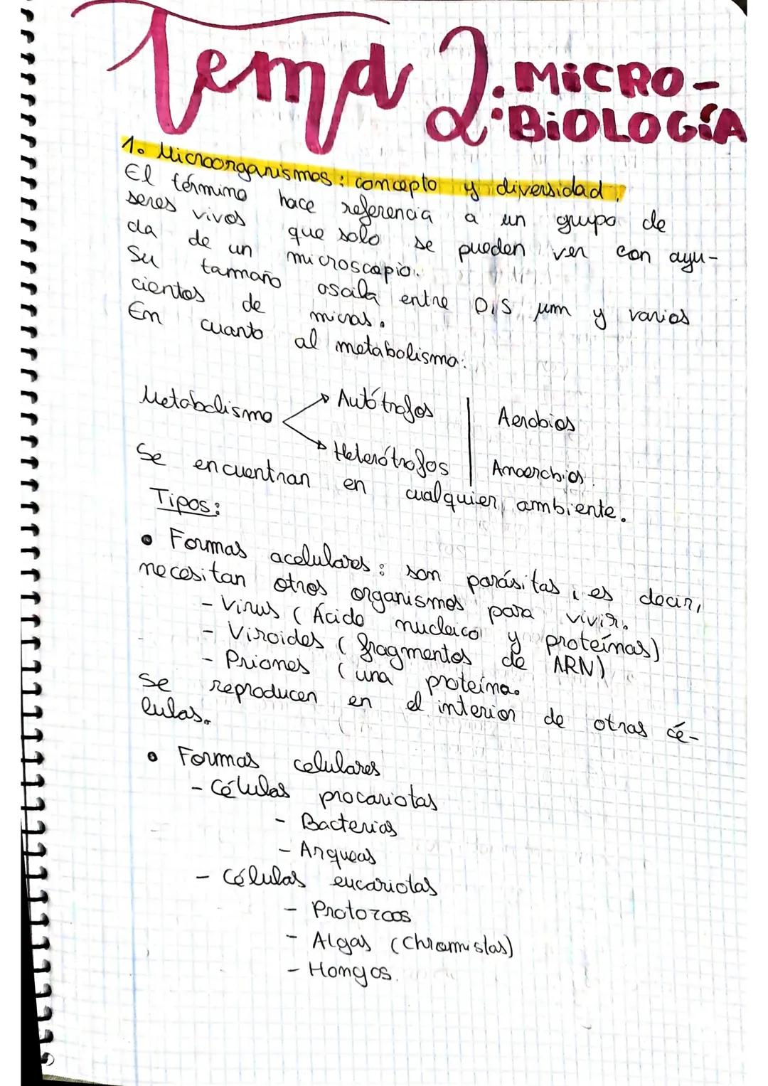 ¡Descubre la Diversidad de Microorganismos y su Metabolismo! Aprende sobre los Virus y sus Ciclos