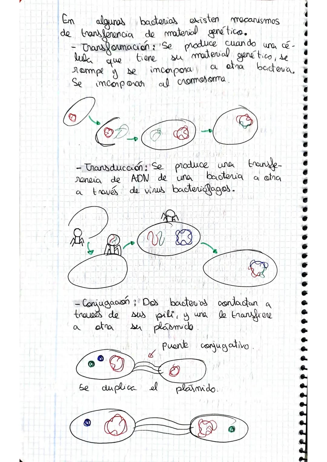 tema 2.0160.
1. Microorganismos: concepto y diversidad
El termine hace referencia
seres vivos
da
Su
de un
tamaño
cientos
Em
Metabolisme <
Se