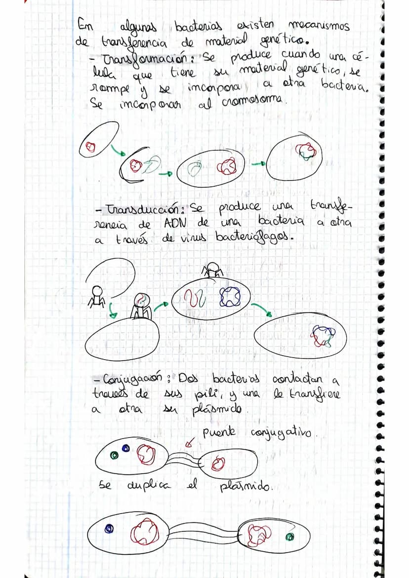 tema 2.0160.
1. Microorganismos: concepto y diversidad
El termine hace referencia
seres vivos
da
Su
de un
tamaño
cientos
Em
Metabolisme <
Se