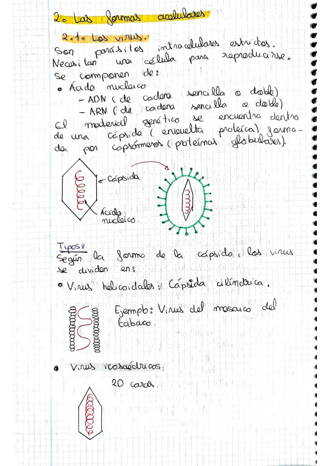 tema 2.0160.
1. Microorganismos: concepto y diversidad
El termine hace referencia
seres vivos
da
Su
de un
tamaño
cientos
Em
Metabolisme <
Se
