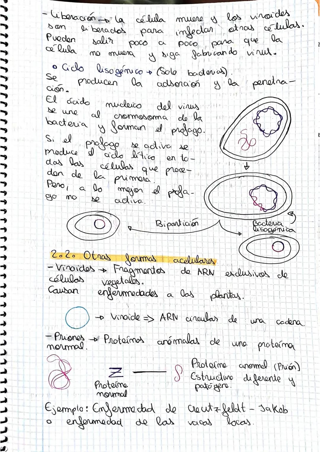 tema 2.0160.
1. Microorganismos: concepto y diversidad
El termine hace referencia
seres vivos
da
Su
de un
tamaño
cientos
Em
Metabolisme <
Se