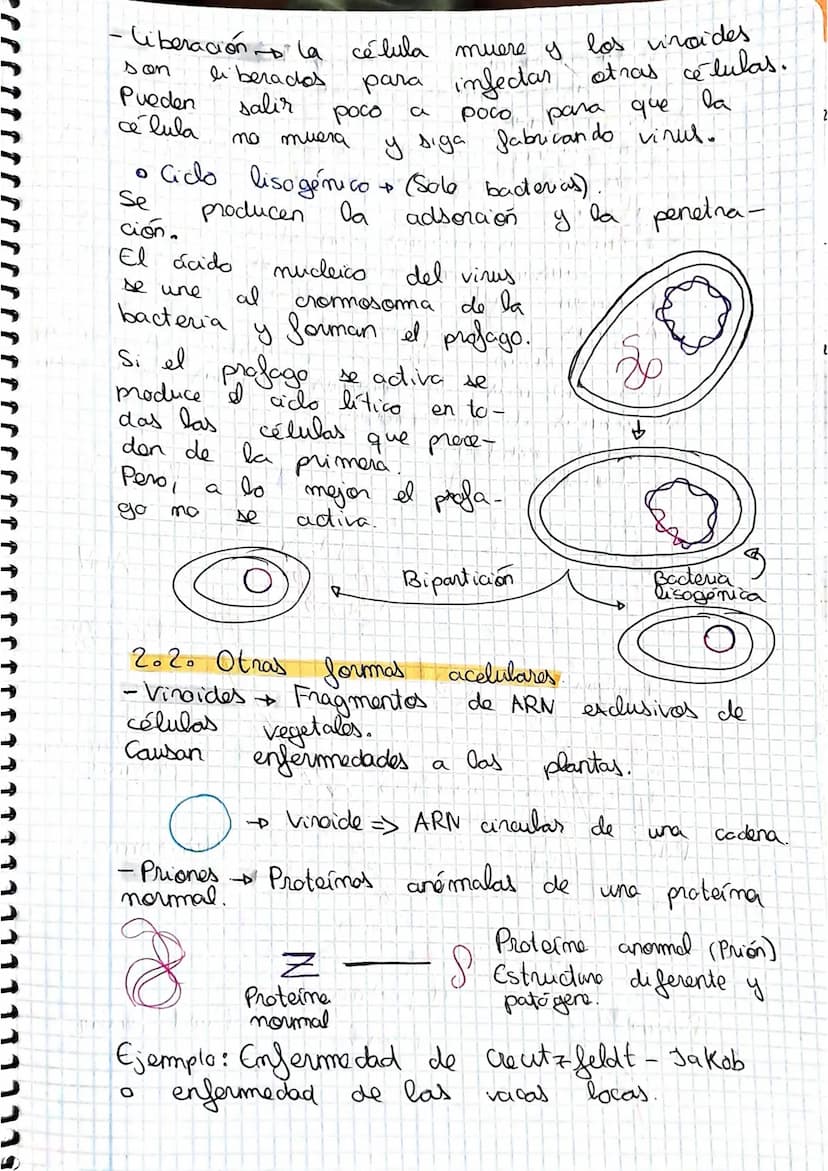 tema 2.0160.
1. Microorganismos: concepto y diversidad
El termine hace referencia
seres vivos
da
Su
de un
tamaño
cientos
Em
Metabolisme <
Se