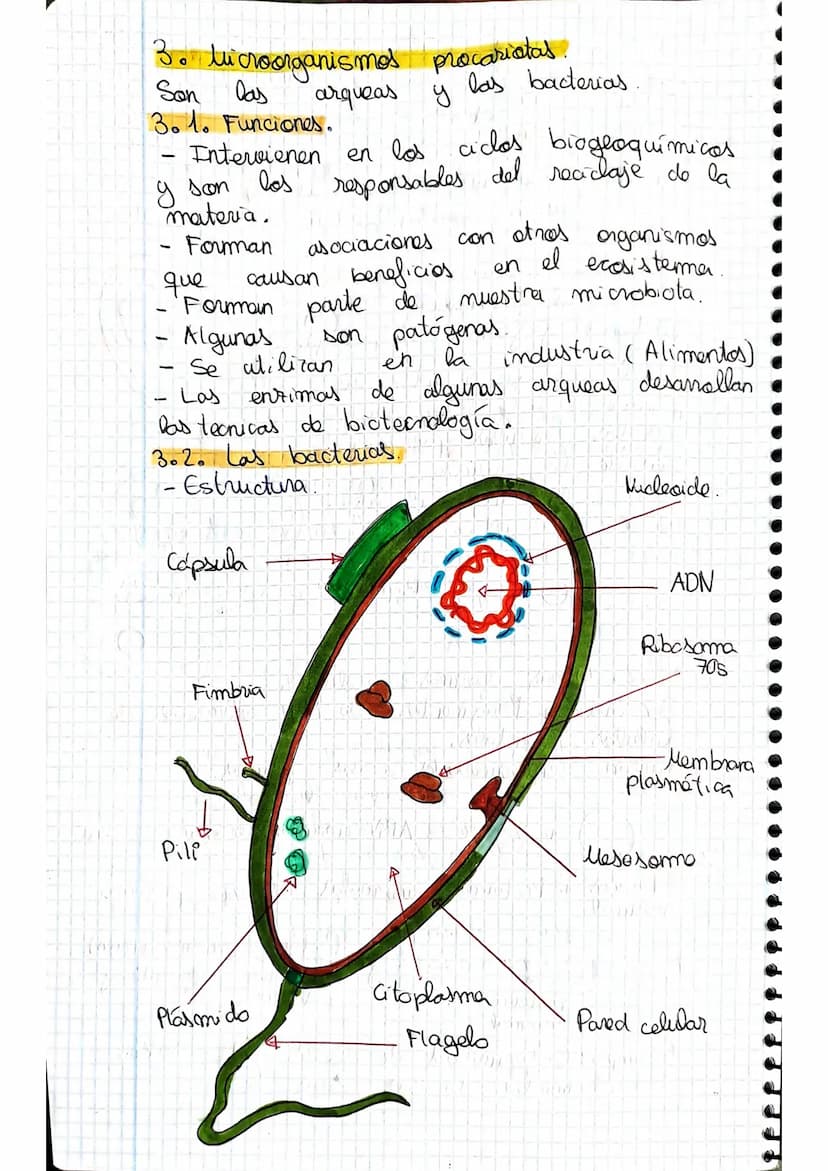 tema 2.0160.
1. Microorganismos: concepto y diversidad
El termine hace referencia
seres vivos
da
Su
de un
tamaño
cientos
Em
Metabolisme <
Se