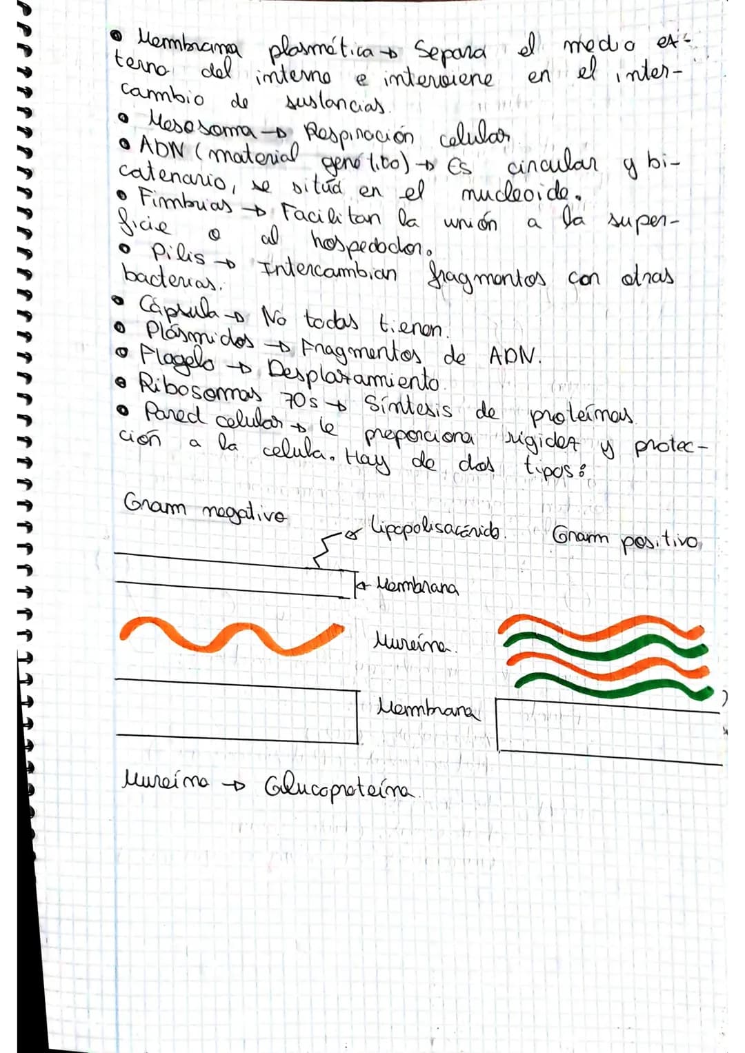 tema 2.0160.
1. Microorganismos: concepto y diversidad
El termine hace referencia
seres vivos
da
Su
de un
tamaño
cientos
Em
Metabolisme <
Se