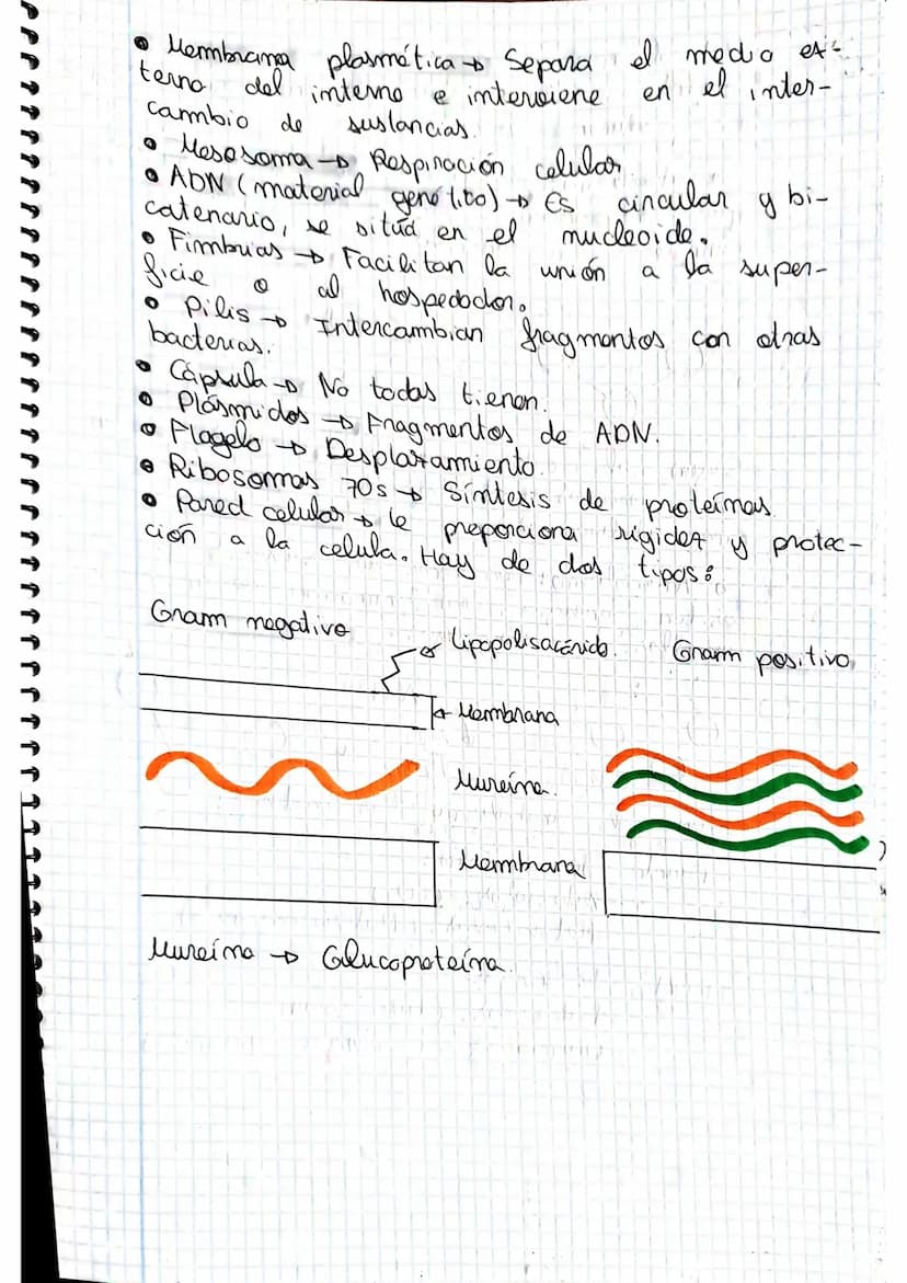 tema 2.0160.
1. Microorganismos: concepto y diversidad
El termine hace referencia
seres vivos
da
Su
de un
tamaño
cientos
Em
Metabolisme <
Se
