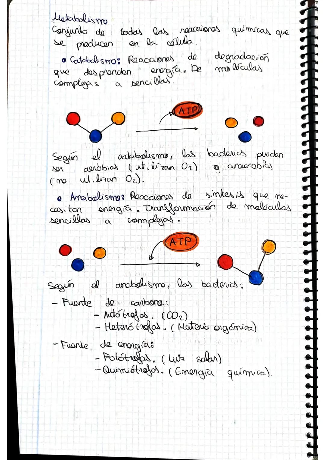 tema 2.0160.
1. Microorganismos: concepto y diversidad
El termine hace referencia
seres vivos
da
Su
de un
tamaño
cientos
Em
Metabolisme <
Se