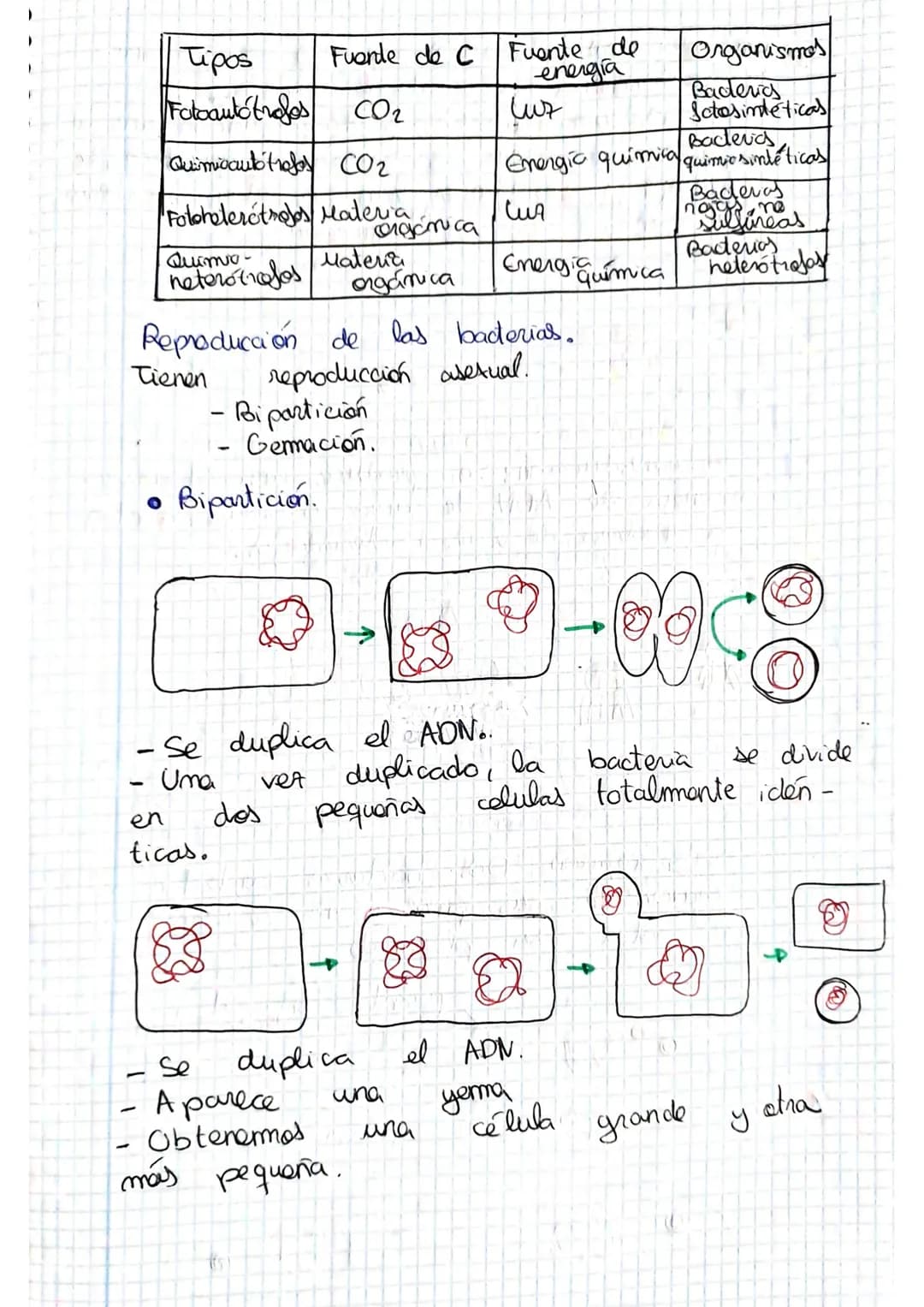 tema 2.0160.
1. Microorganismos: concepto y diversidad
El termine hace referencia
seres vivos
da
Su
de un
tamaño
cientos
Em
Metabolisme <
Se