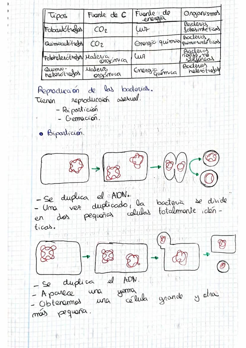 tema 2.0160.
1. Microorganismos: concepto y diversidad
El termine hace referencia
seres vivos
da
Su
de un
tamaño
cientos
Em
Metabolisme <
Se