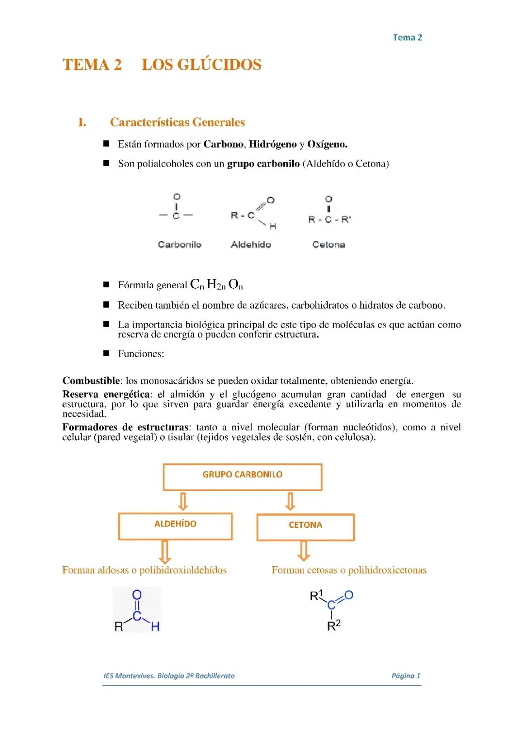 Guía Completa de Glúcidos para 2º de Bachillerato: Esquemas, Ejemplos y Funciones