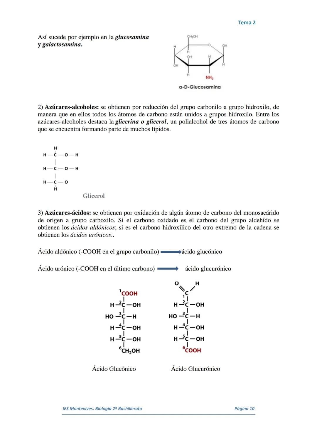 TEMA 2 LOS GLÚCIDOS
I.
Características Generales
Están formados por Carbono, Hidrógeno y Oxígeno.
■ Son polialcoholes con un grupo carbonilo