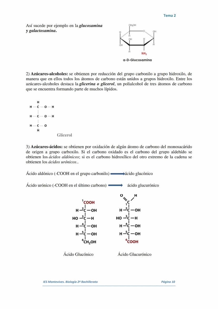 TEMA 2 LOS GLÚCIDOS
I.
Características Generales
Están formados por Carbono, Hidrógeno y Oxígeno.
■ Son polialcoholes con un grupo carbonilo