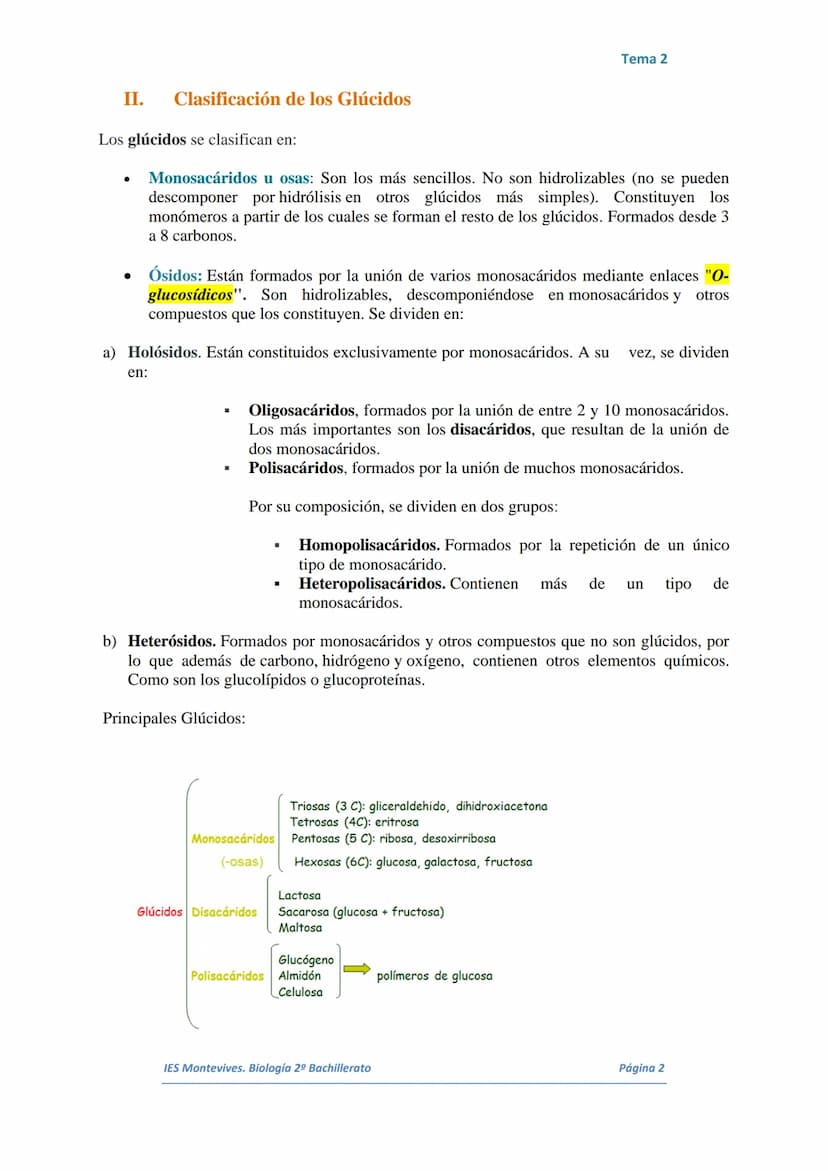 TEMA 2 LOS GLÚCIDOS
I.
Características Generales
Están formados por Carbono, Hidrógeno y Oxígeno.
■ Son polialcoholes con un grupo carbonilo