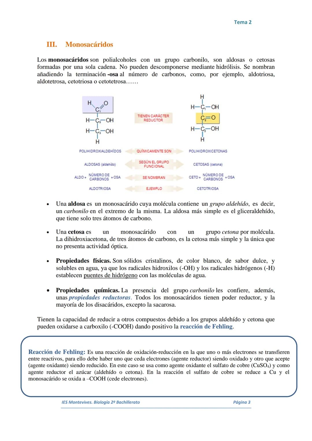TEMA 2 LOS GLÚCIDOS
I.
Características Generales
Están formados por Carbono, Hidrógeno y Oxígeno.
■ Son polialcoholes con un grupo carbonilo
