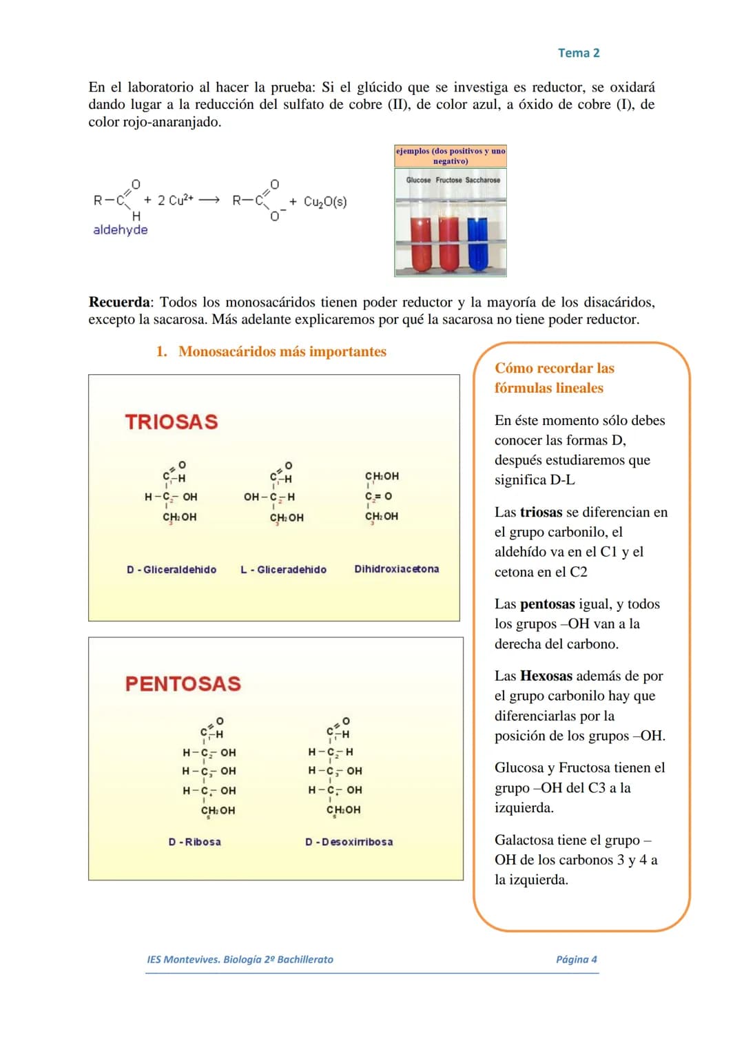 TEMA 2 LOS GLÚCIDOS
I.
Características Generales
Están formados por Carbono, Hidrógeno y Oxígeno.
■ Son polialcoholes con un grupo carbonilo
