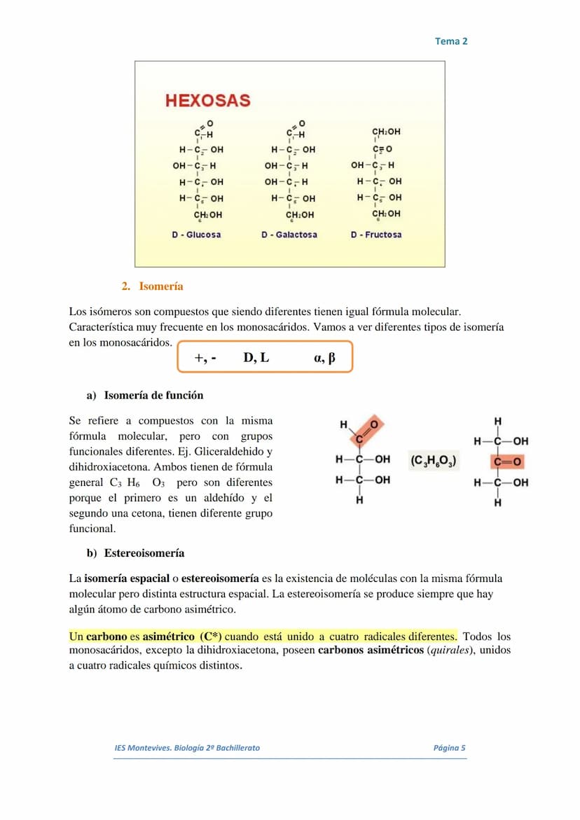 TEMA 2 LOS GLÚCIDOS
I.
Características Generales
Están formados por Carbono, Hidrógeno y Oxígeno.
■ Son polialcoholes con un grupo carbonilo
