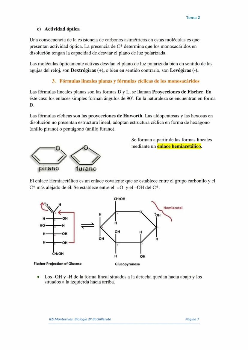 TEMA 2 LOS GLÚCIDOS
I.
Características Generales
Están formados por Carbono, Hidrógeno y Oxígeno.
■ Son polialcoholes con un grupo carbonilo