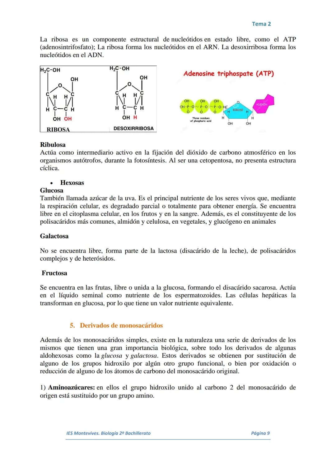 TEMA 2 LOS GLÚCIDOS
I.
Características Generales
Están formados por Carbono, Hidrógeno y Oxígeno.
■ Son polialcoholes con un grupo carbonilo