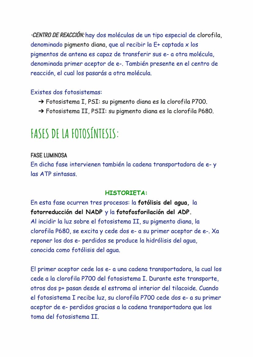 ANABOLISMO
El anabolismo es la parte del metabolismo en la que se llevan a cabo
las rutas de síntesis de moléculas complejas a partir de mol