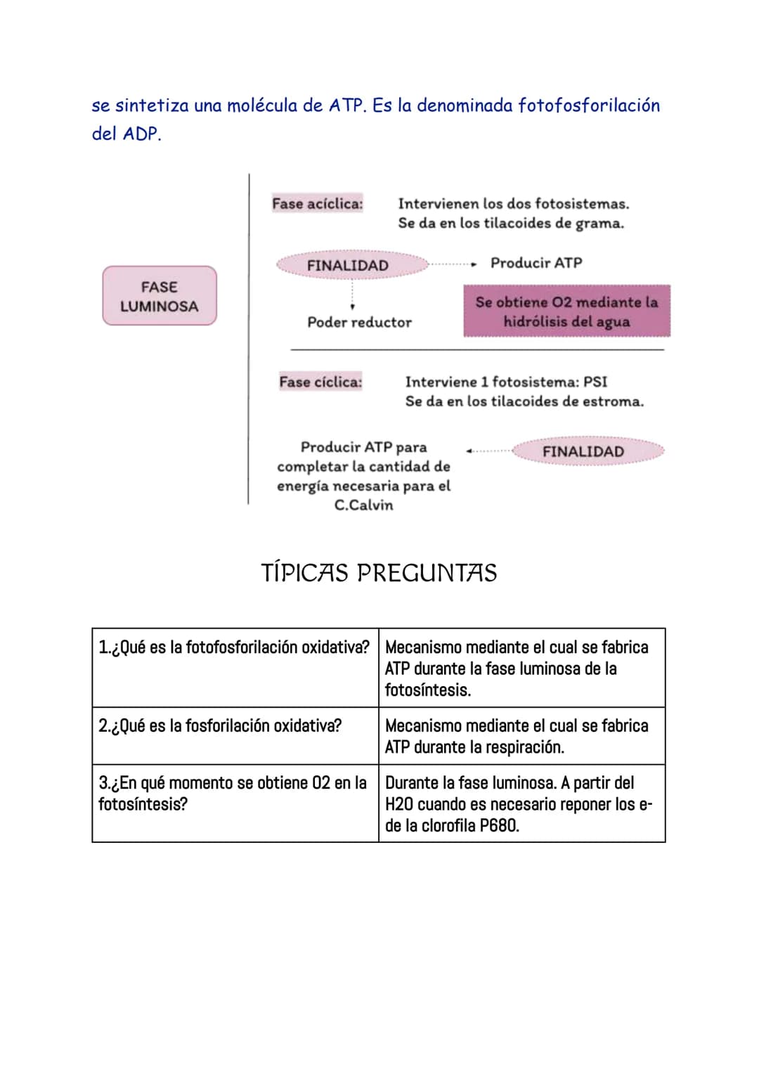 ANABOLISMO
El anabolismo es la parte del metabolismo en la que se llevan a cabo
las rutas de síntesis de moléculas complejas a partir de mol