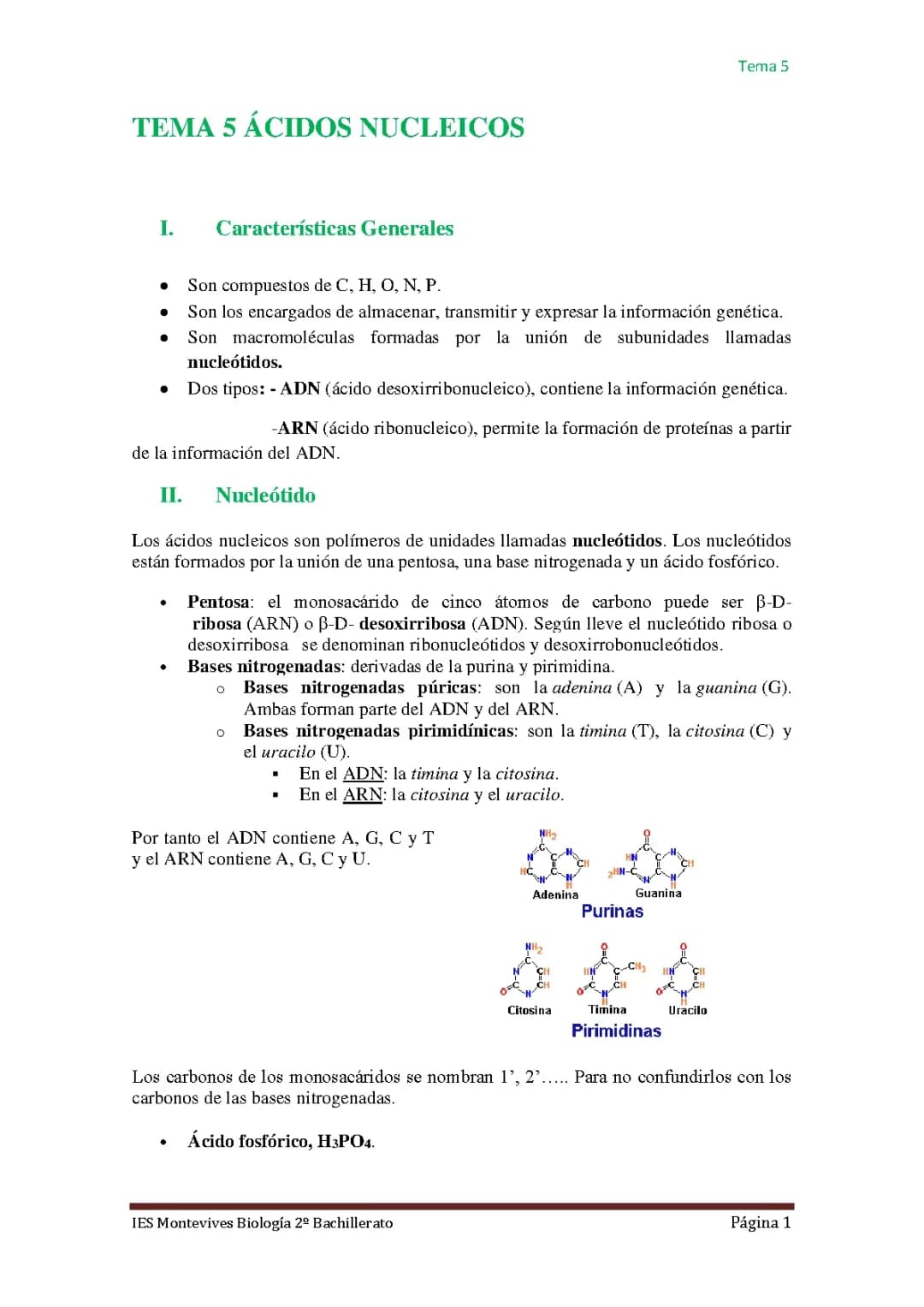 Todo sobre los ácidos nucleicos y sus funciones: ejemplos, estructura y más