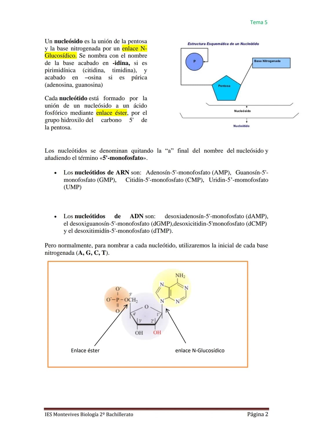 
<h2 id="caractersticasgenerales">Características Generales</h2>
<p>Los ácidos nucleicos, como el ADN (ácido desoxirribonucleico) y el ARN (