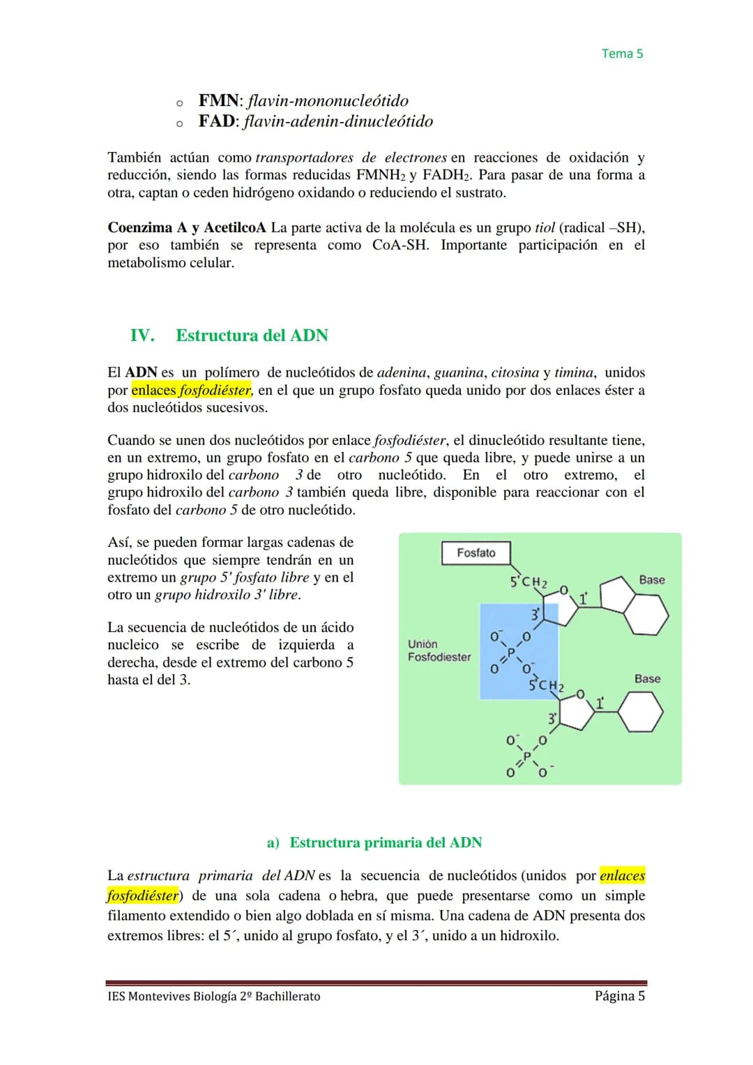 
<h2 id="caractersticasgenerales">Características Generales</h2>
<p>Los ácidos nucleicos, como el ADN (ácido desoxirribonucleico) y el ARN (