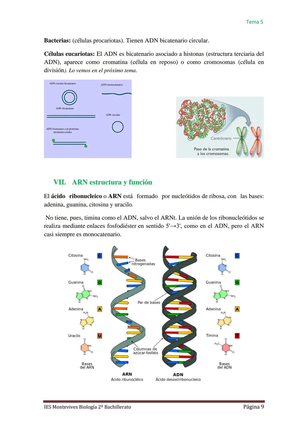 
<h2 id="caractersticasgenerales">Características Generales</h2>
<p>Los ácidos nucleicos, como el ADN (ácido desoxirribonucleico) y el ARN (