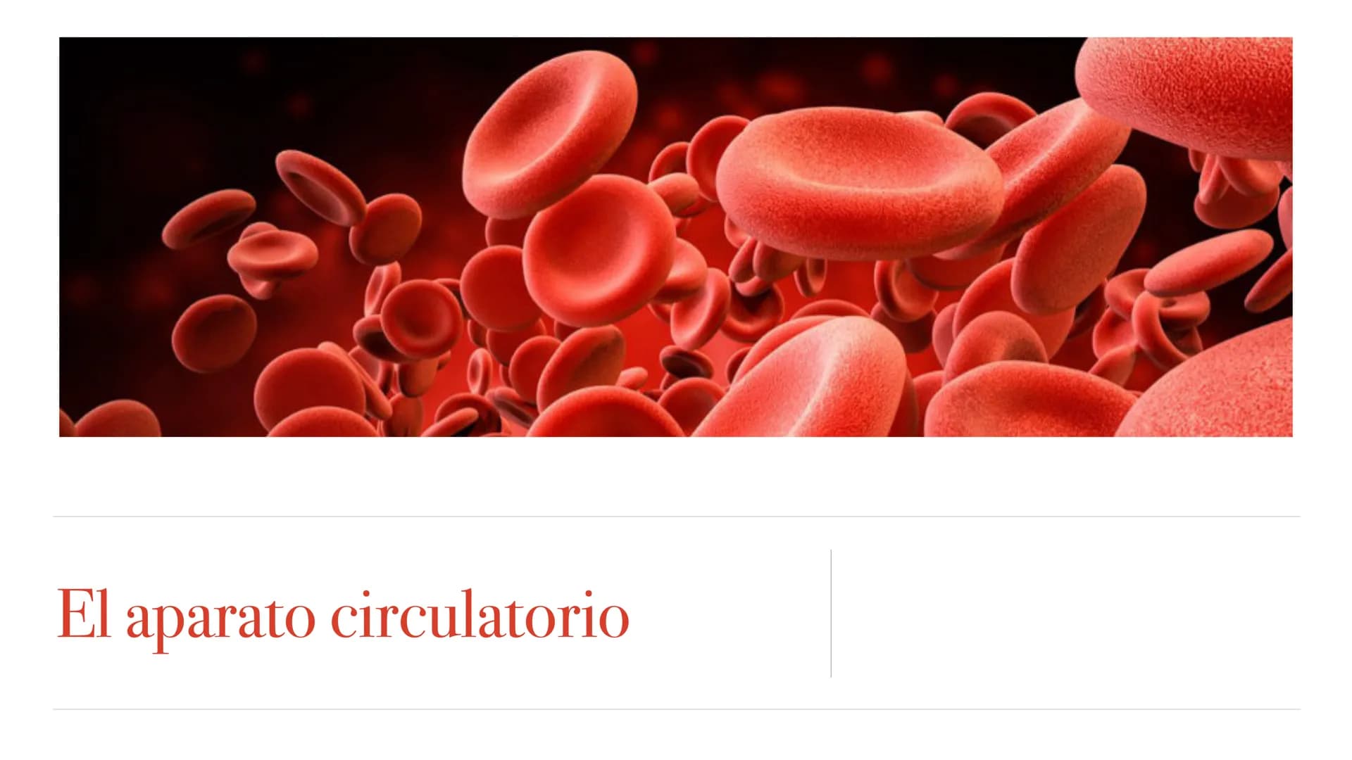 El aparato circulatorio Sistema circulatorio
1. Tipos de vasos sanguíneos
2. Funciones de la sangre
3. Componentes de la sangre
4. Corazón
5
