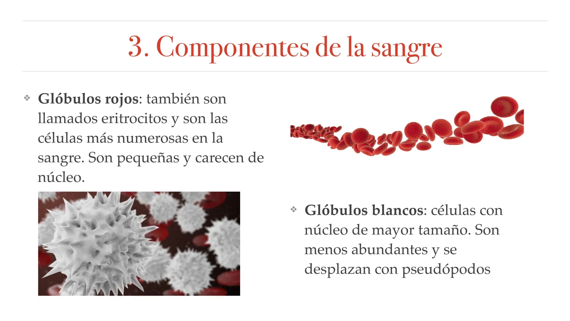 El aparato circulatorio Sistema circulatorio
1. Tipos de vasos sanguíneos
2. Funciones de la sangre
3. Componentes de la sangre
4. Corazón
5