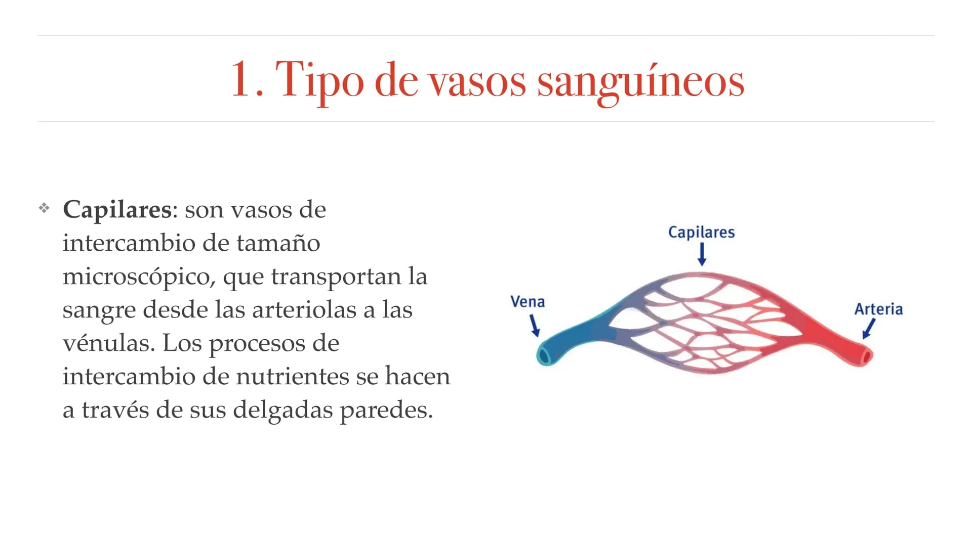 El aparato circulatorio Sistema circulatorio
1. Tipos de vasos sanguíneos
2. Funciones de la sangre
3. Componentes de la sangre
4. Corazón
5