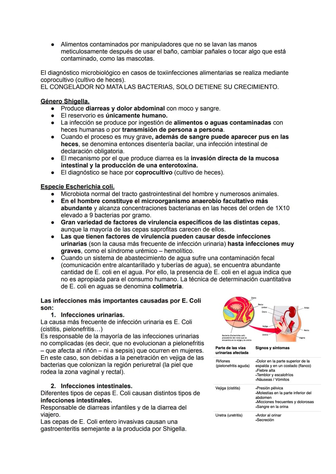 TEMA 14.1: LAS BACTERIAS
Gram positivo
TINCION DE GRAM
Fijación
Cristal violeta
lugol-yodo
Decoloración alcohol -acetona
Coloración de
contr