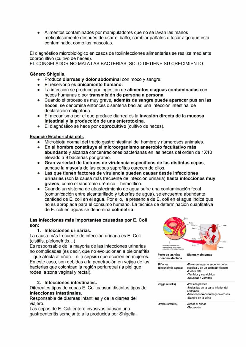 TEMA 14.1: LAS BACTERIAS
Gram positivo
TINCION DE GRAM
Fijación
Cristal violeta
lugol-yodo
Decoloración alcohol -acetona
Coloración de
contr