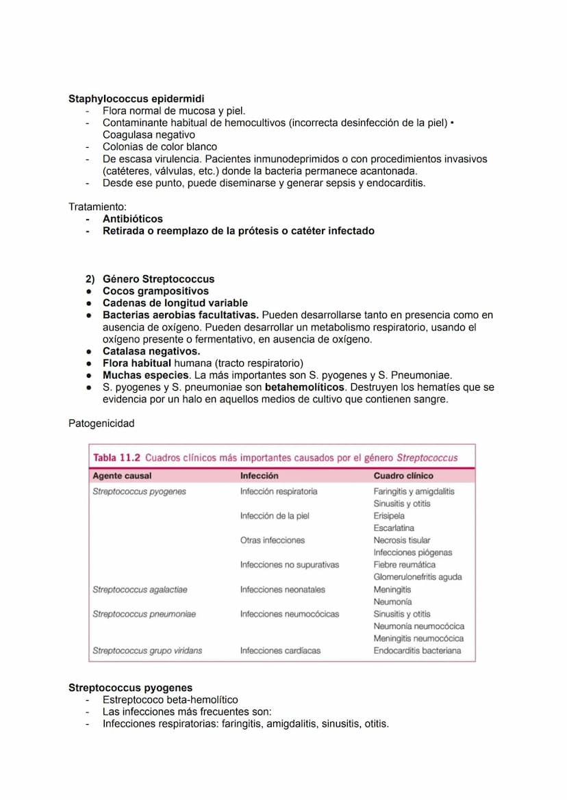 TEMA 14.1: LAS BACTERIAS
Gram positivo
TINCION DE GRAM
Fijación
Cristal violeta
lugol-yodo
Decoloración alcohol -acetona
Coloración de
contr