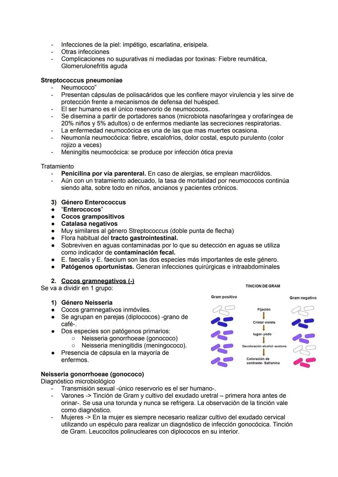 TEMA 14.1: LAS BACTERIAS
Gram positivo
TINCION DE GRAM
Fijación
Cristal violeta
lugol-yodo
Decoloración alcohol -acetona
Coloración de
contr