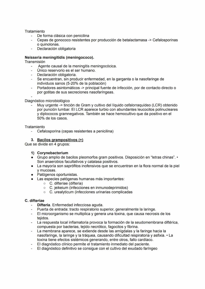 TEMA 14.1: LAS BACTERIAS
Gram positivo
TINCION DE GRAM
Fijación
Cristal violeta
lugol-yodo
Decoloración alcohol -acetona
Coloración de
contr