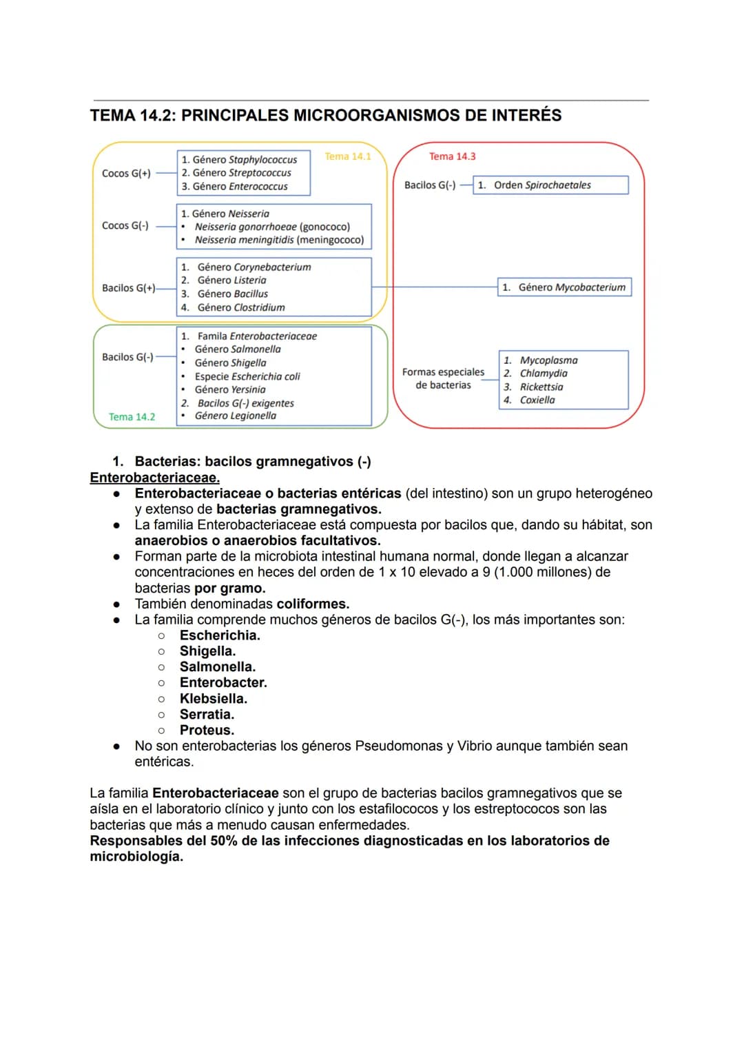 TEMA 14.1: LAS BACTERIAS
Gram positivo
TINCION DE GRAM
Fijación
Cristal violeta
lugol-yodo
Decoloración alcohol -acetona
Coloración de
contr