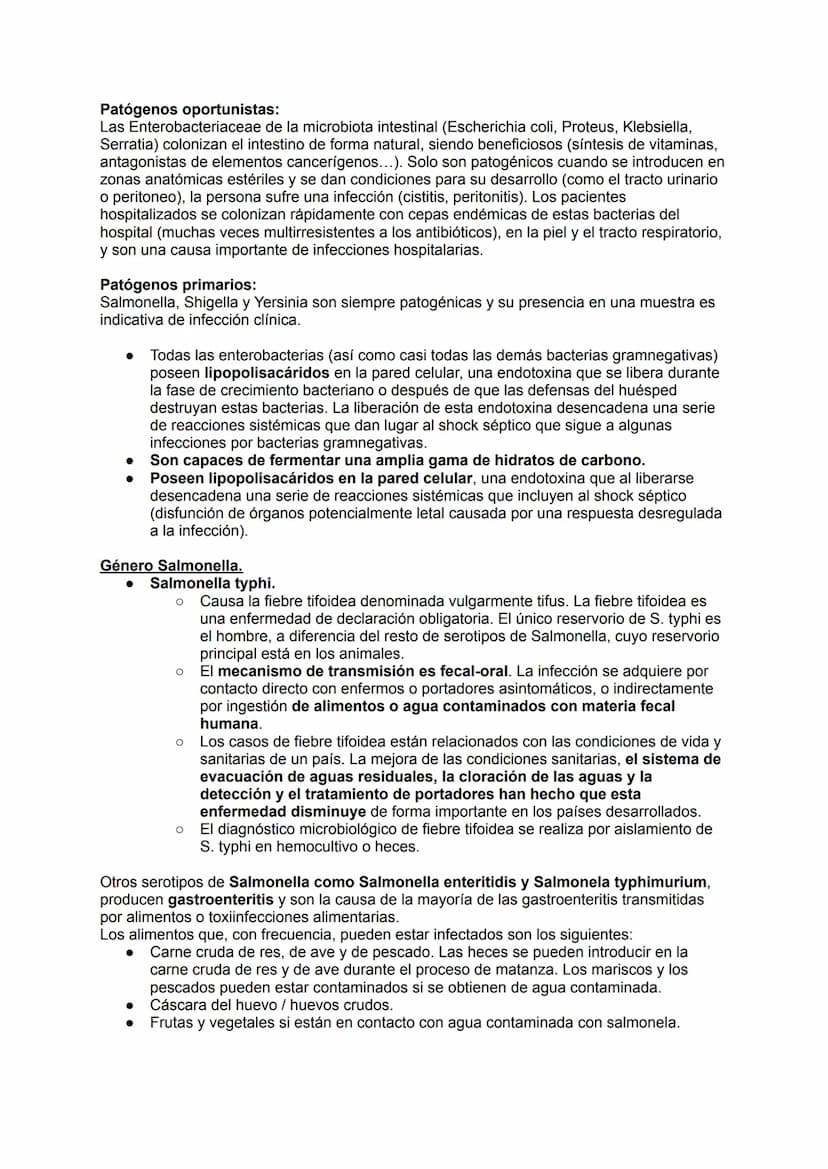 TEMA 14.1: LAS BACTERIAS
Gram positivo
TINCION DE GRAM
Fijación
Cristal violeta
lugol-yodo
Decoloración alcohol -acetona
Coloración de
contr