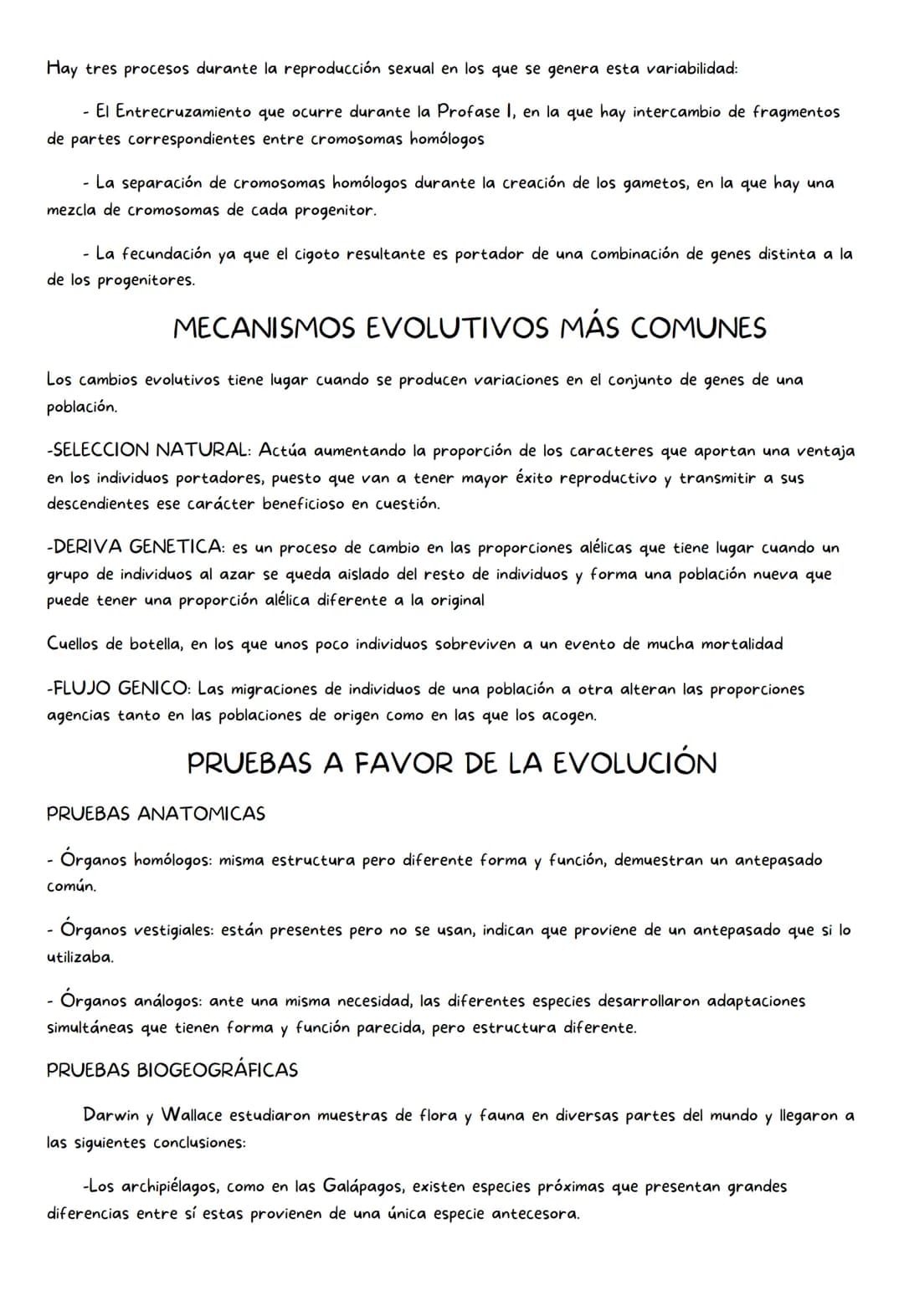 EL ORIGEN Y LA EVOLUCIÓN DE
LA VIDA
EL ORIGEN DE LA VIDA:
• La generación espontánea de la vida es una creencia que se mantuvo desde la anti