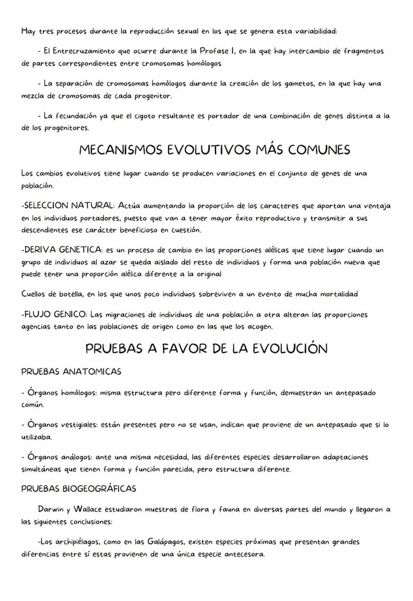 EL ORIGEN Y LA EVOLUCIÓN DE
LA VIDA
EL ORIGEN DE LA VIDA:
• La generación espontánea de la vida es una creencia que se mantuvo desde la anti