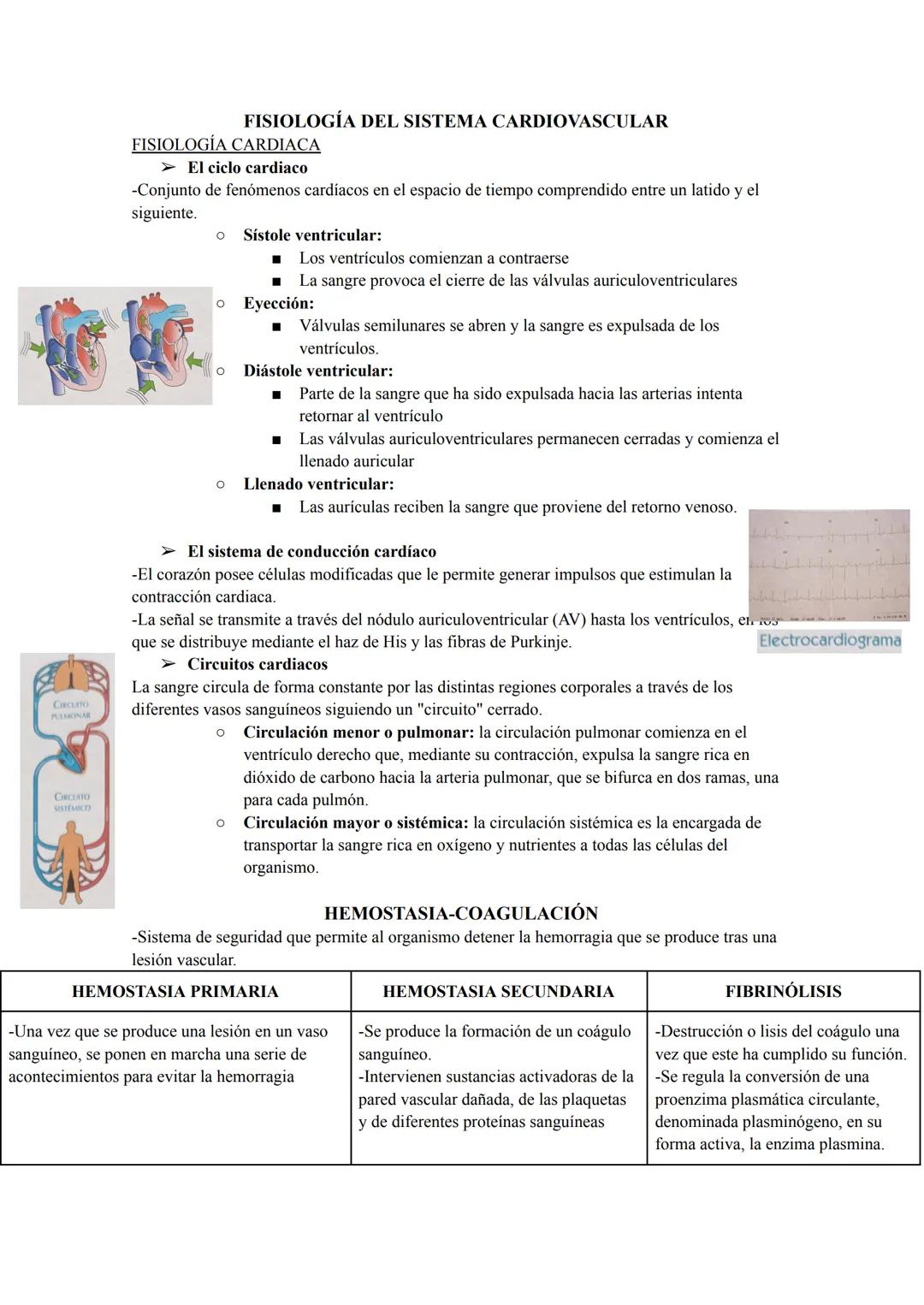 CAVIDADES

Aurículas
Ventrículos

-Cavidades superiores.

-Reciben la sangre a través de venas y la sangre
acumulada pasa a los ventrículos.
