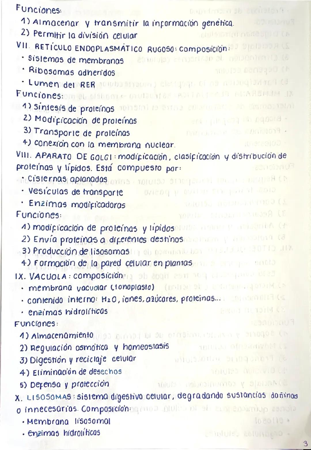 # CÉLULA EUCARIOTA
La célula eucariota es la unidad fundamental de los seres
vivos complejos. A diferencia de las células procariotas, las e