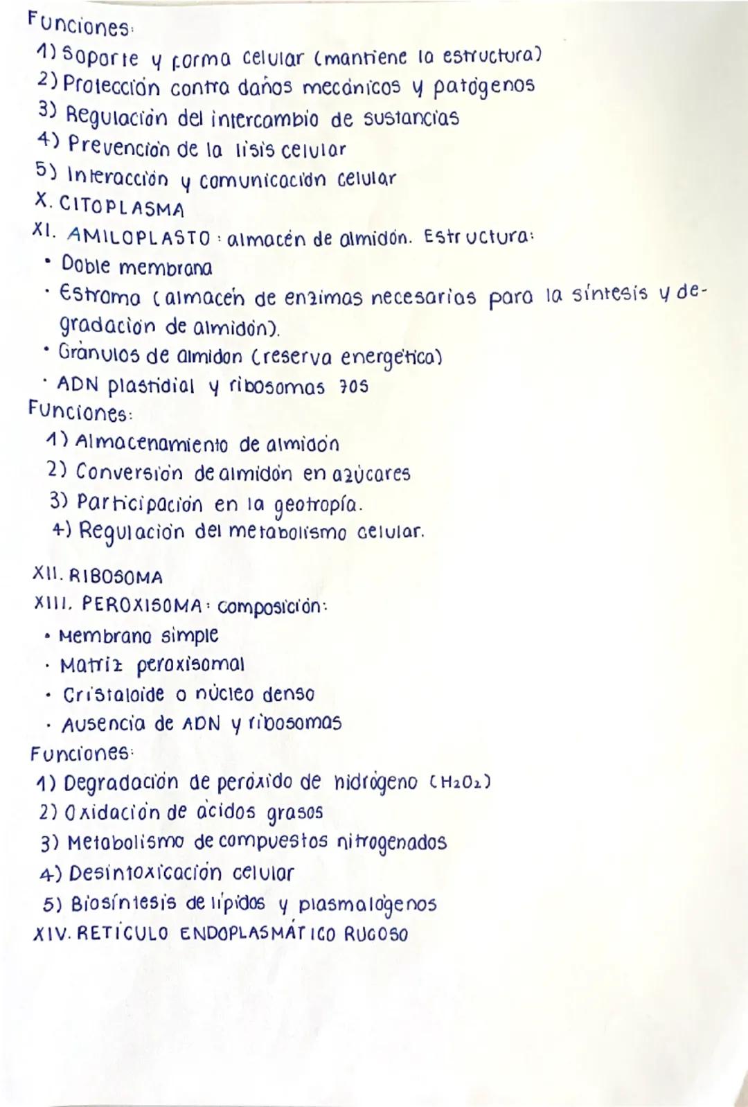 # CÉLULA EUCARIOTA
La célula eucariota es la unidad fundamental de los seres
vivos complejos. A diferencia de las células procariotas, las e