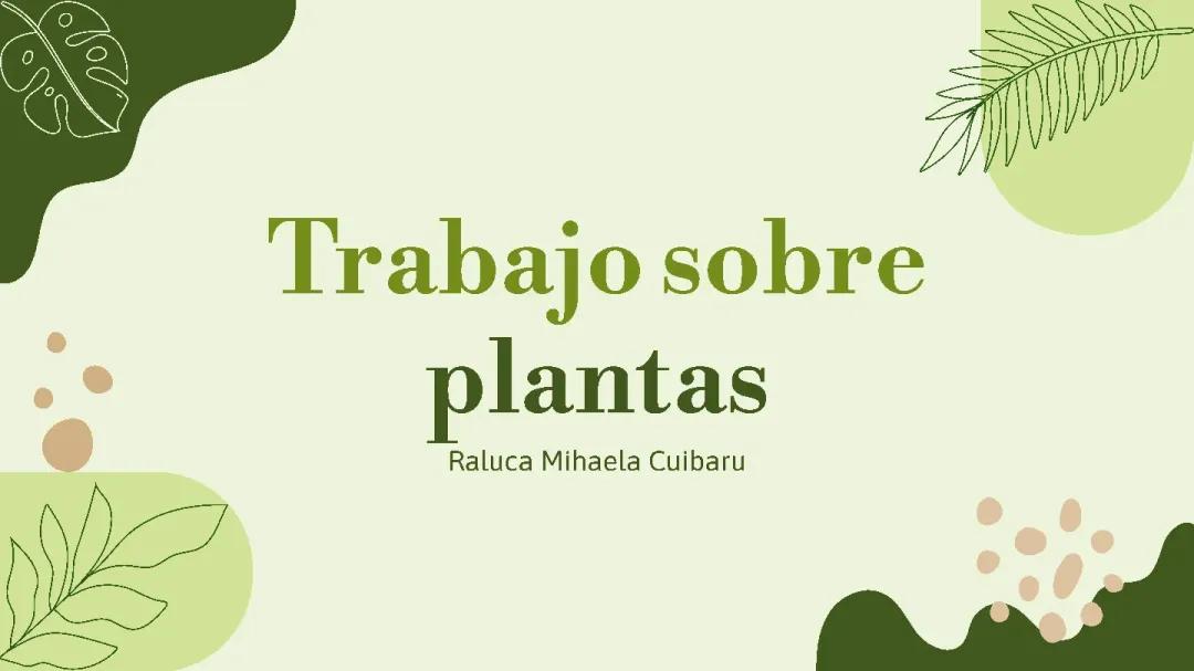 Todo sobre Briofitas y Pteridofitas: Ejemplos y Características de las Plantas Sin y Con Semillas