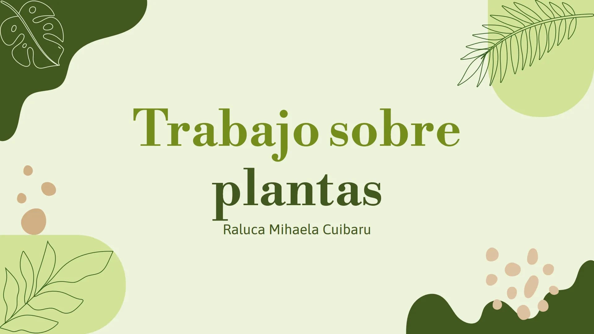 Vo
Trabajo sobre
plantas
Raluca Mihaela Cuibaru Indice
Características generales
01. de las plantas
02. Clasificación de las plantas
05.
Fun