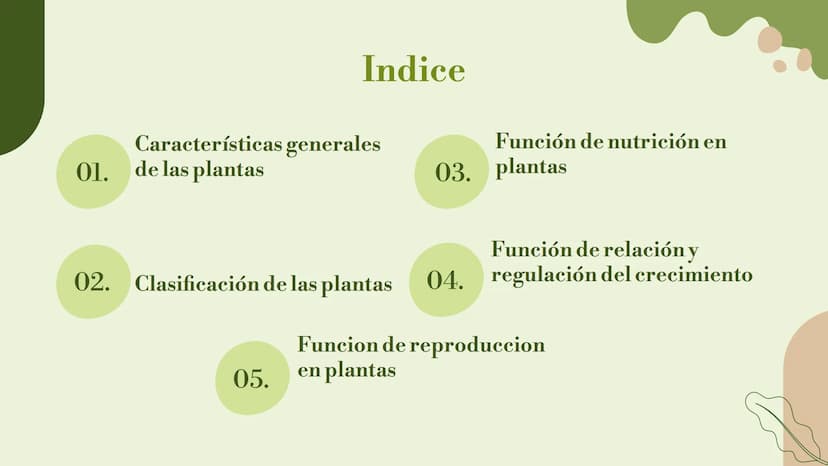 Vo
Trabajo sobre
plantas
Raluca Mihaela Cuibaru Indice
Características generales
01. de las plantas
02. Clasificación de las plantas
05.
Fun
