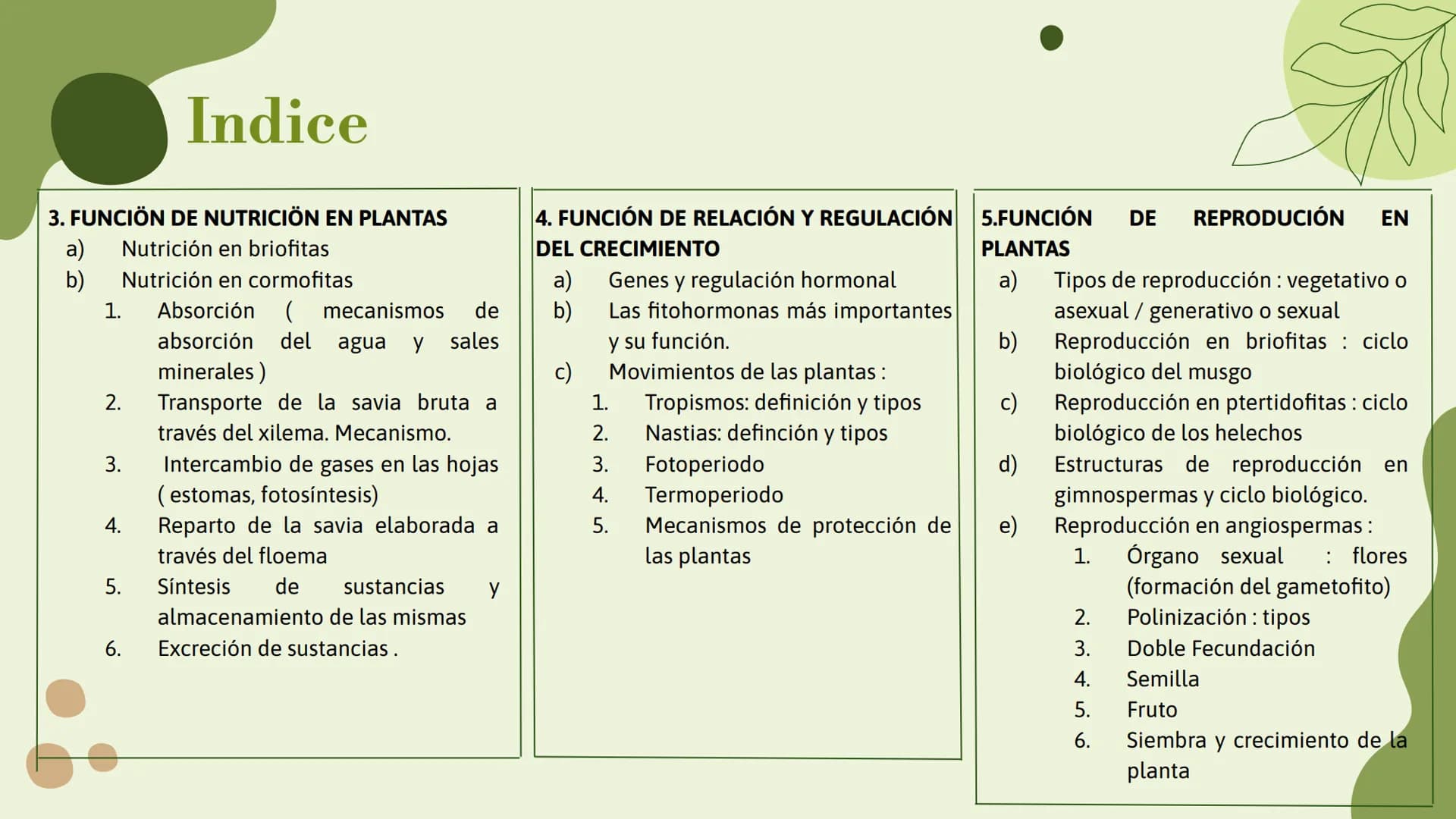 Vo
Trabajo sobre
plantas
Raluca Mihaela Cuibaru Indice
Características generales
01. de las plantas
02. Clasificación de las plantas
05.
Fun