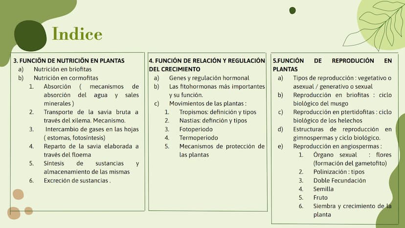 Vo
Trabajo sobre
plantas
Raluca Mihaela Cuibaru Indice
Características generales
01. de las plantas
02. Clasificación de las plantas
05.
Fun