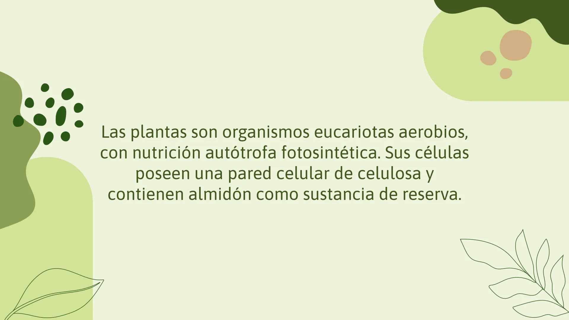 Vo
Trabajo sobre
plantas
Raluca Mihaela Cuibaru Indice
Características generales
01. de las plantas
02. Clasificación de las plantas
05.
Fun